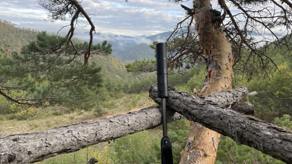 Chasse à l’approche ou à l'affut