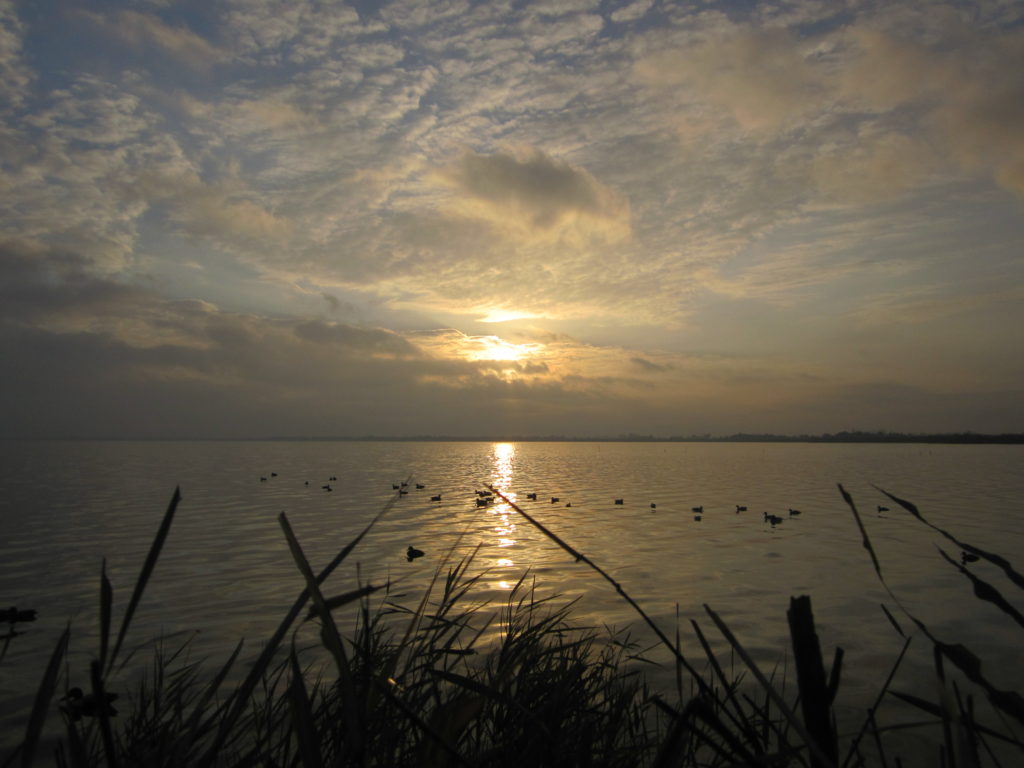 passee canards etang