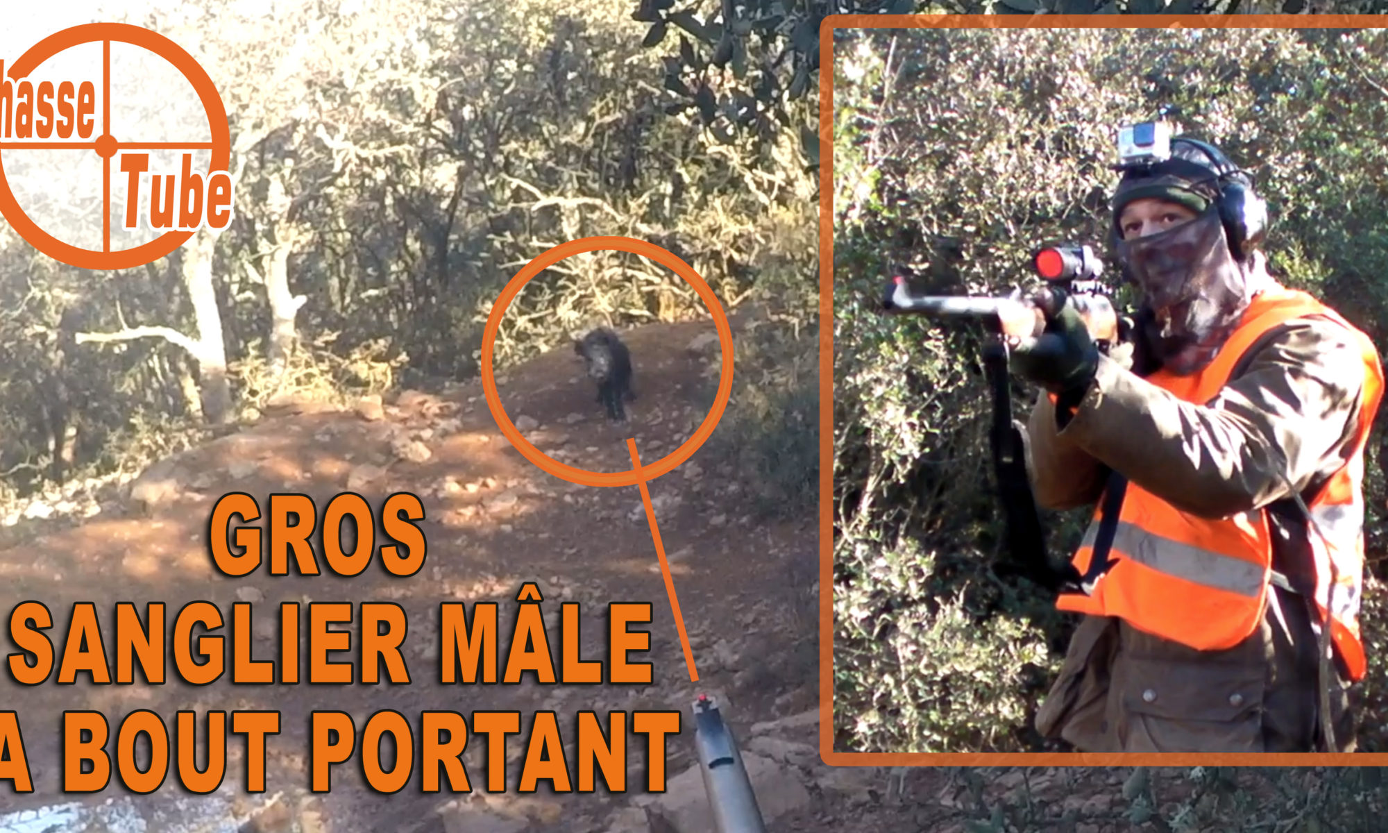 Photo d'un chasseur qui tire un gros sanglier mâle à bout portant