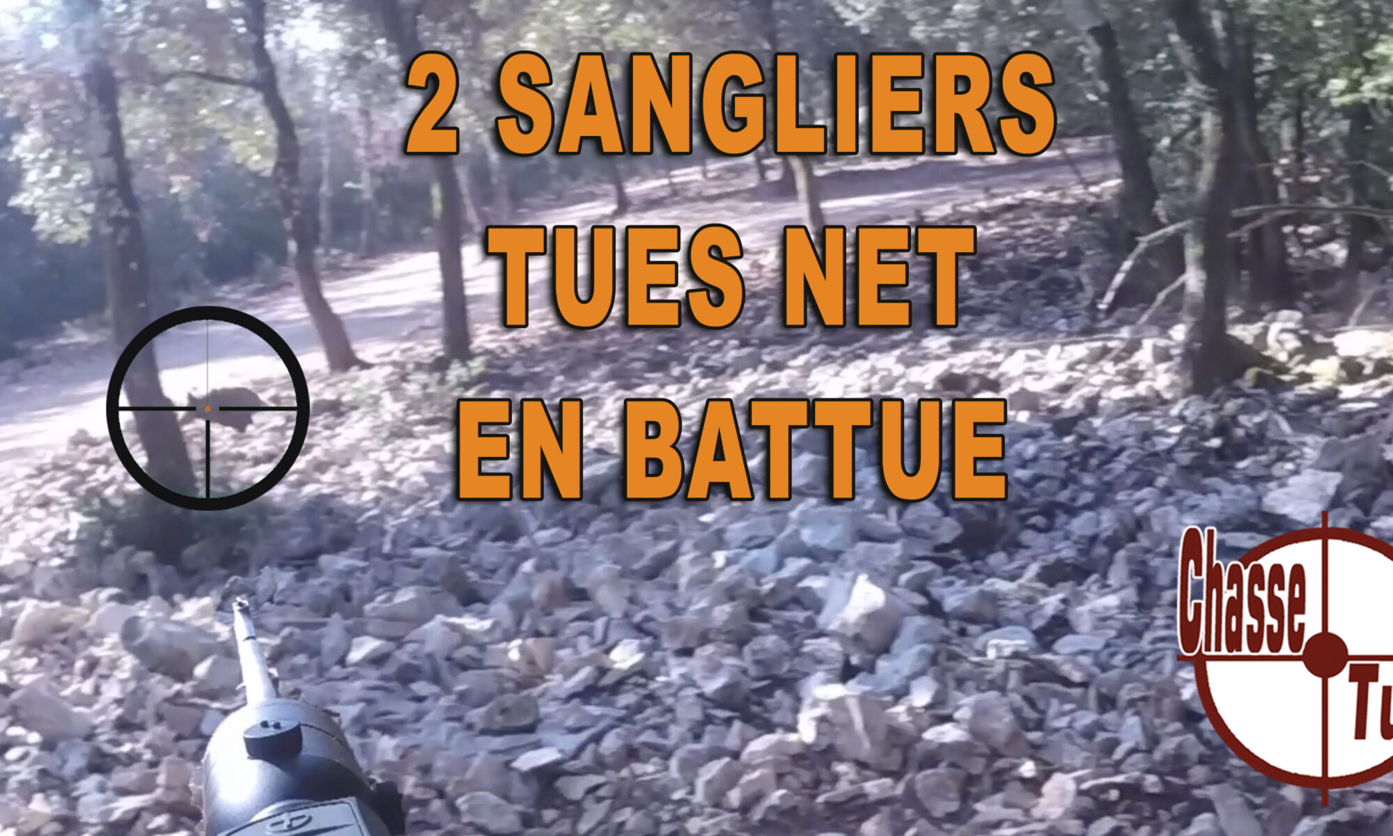 scène de chasse en battue vue par les yeux du chasseur extraite de la video