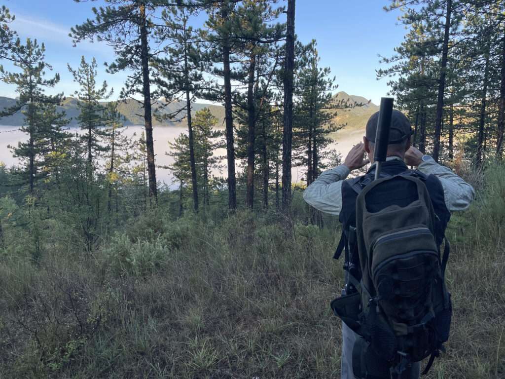 La chasse en montagne