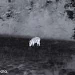 Thermique 640×512 vs 256×192