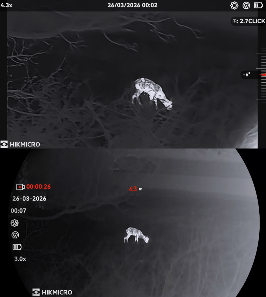cerf thermique 640x512 comparaison 256x192 qualité image à 50 mètres