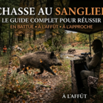 Montage montrant les trois techniques de chasse au sanglier : battue, affût et approche avec chasseurs en action et sanglier en forêt.