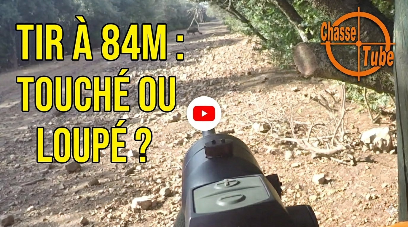 Sanglier tiré à la course à 84m