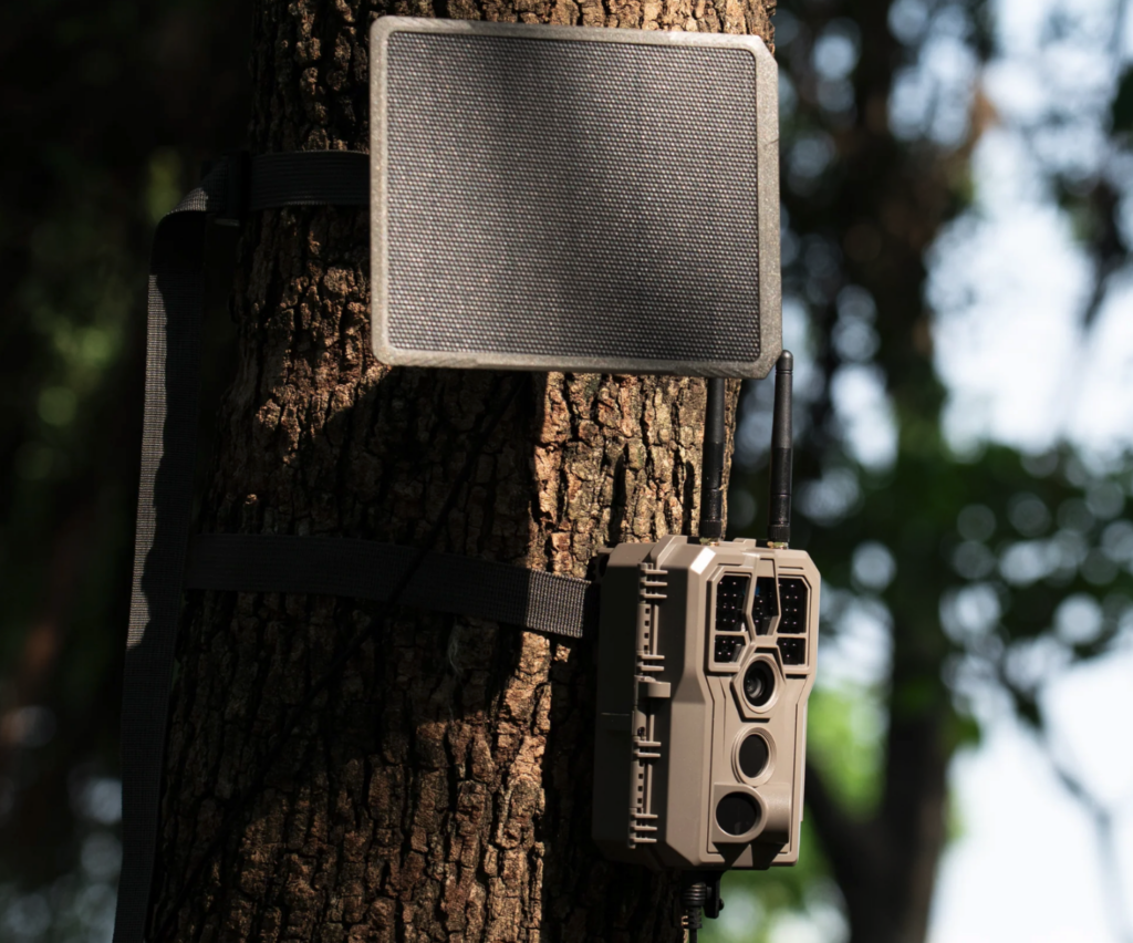 Présentation de la caméra GardePro E8 2.0 Pro et son panneau solaire SP350 fixés à un arbre à l'aide des sangles fournies