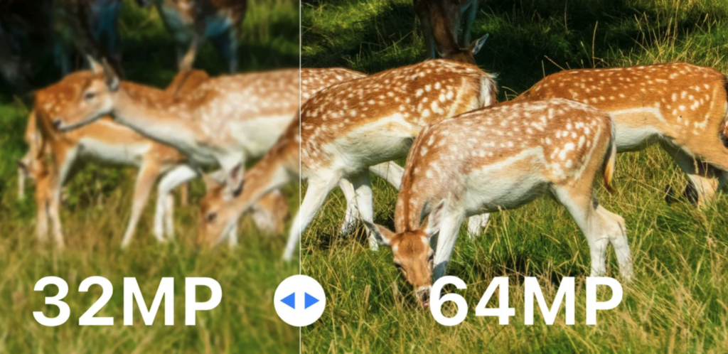 comparatif de jour sur image de cervides entre camera piège gardepro 64MP et autres marques à 32MP