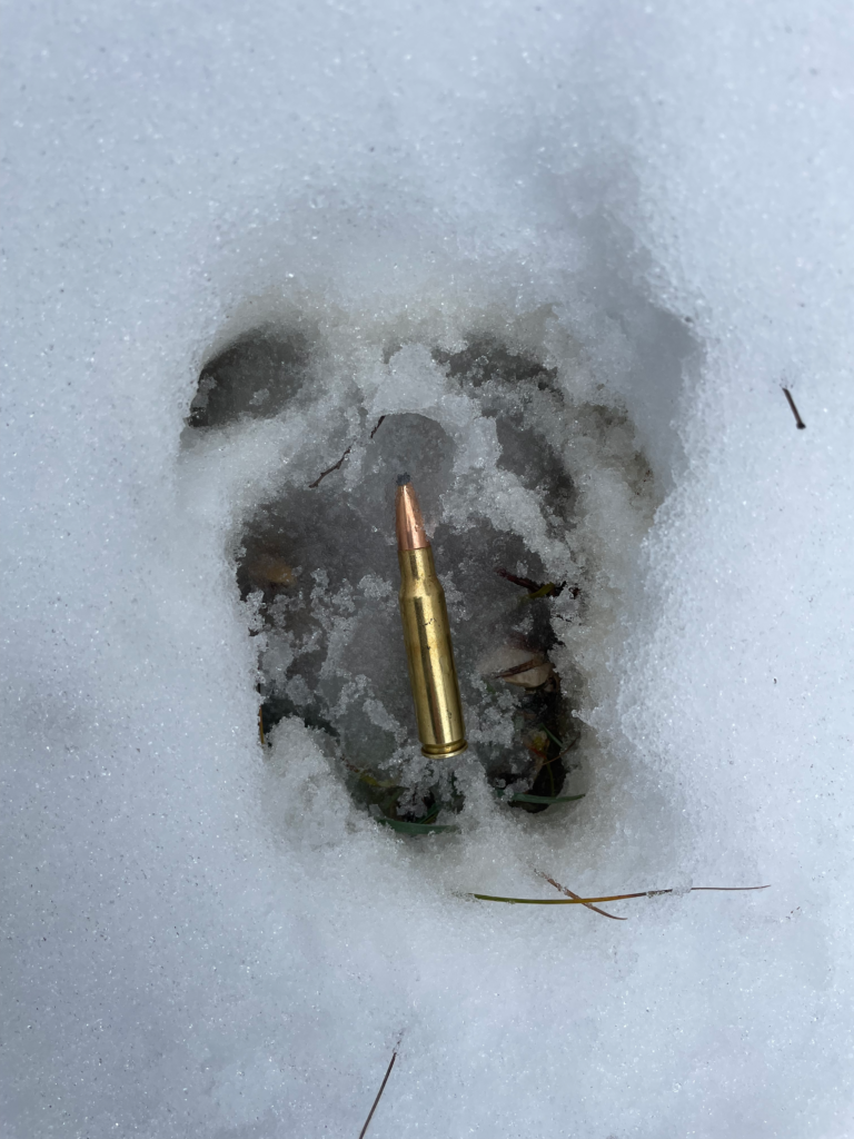 chasse dans la neige Règlementation et conseils